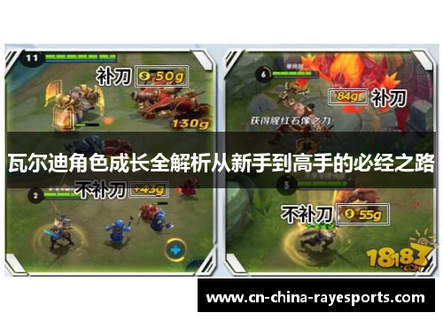 瓦尔迪角色成长全解析从新手到高手的必经之路