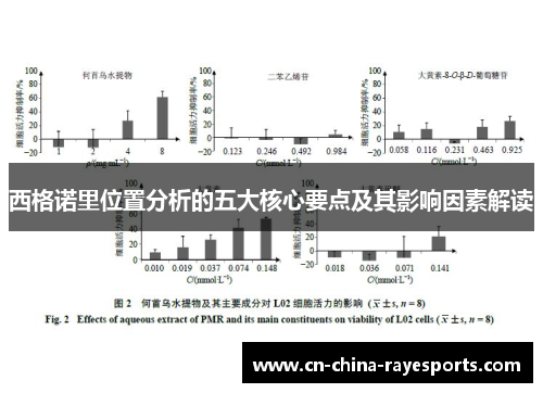 西格诺里位置分析的五大核心要点及其影响因素解读