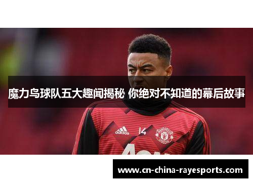 魔力鸟球队五大趣闻揭秘 你绝对不知道的幕后故事