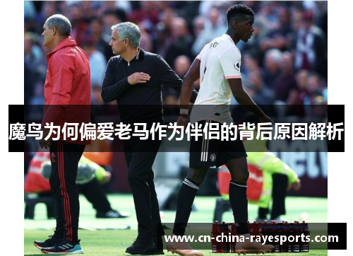 魔鸟为何偏爱老马作为伴侣的背后原因解析